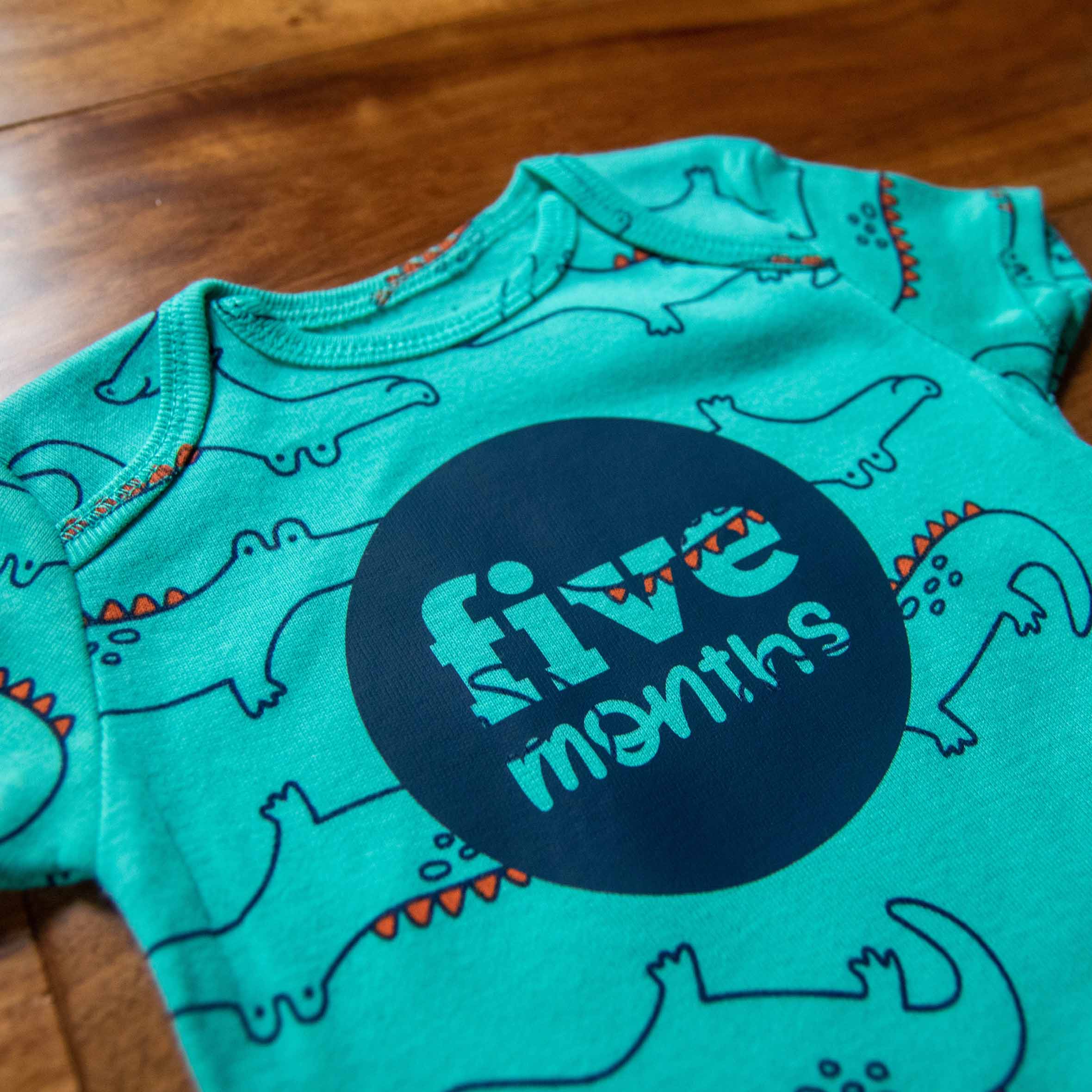 Baby Boy Monthly Photo Bodysuit Set – Jungle Animals and Stripes - Firefly Wishes