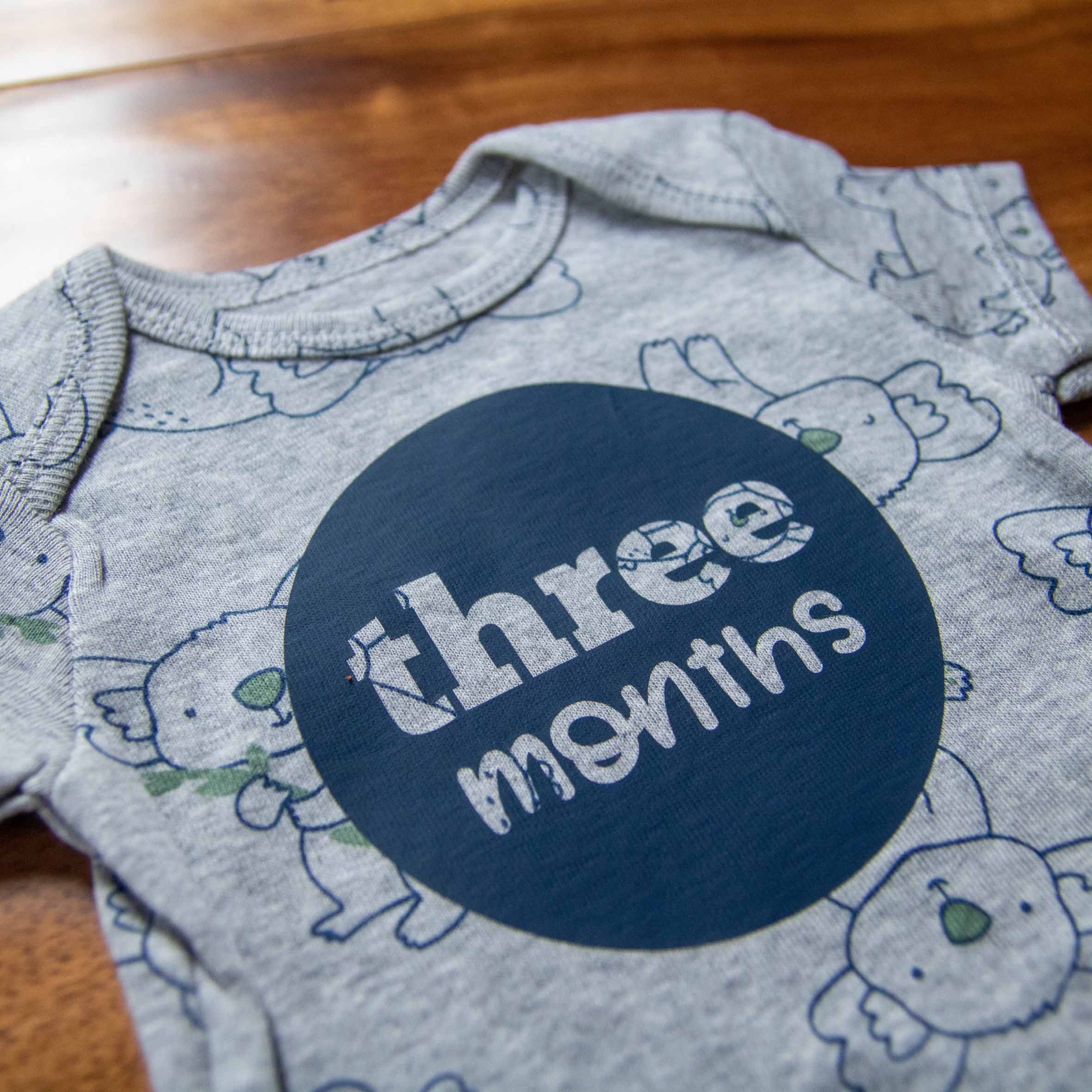 Baby Boy Monthly Photo Bodysuit Set – Jungle Animals and Stripes