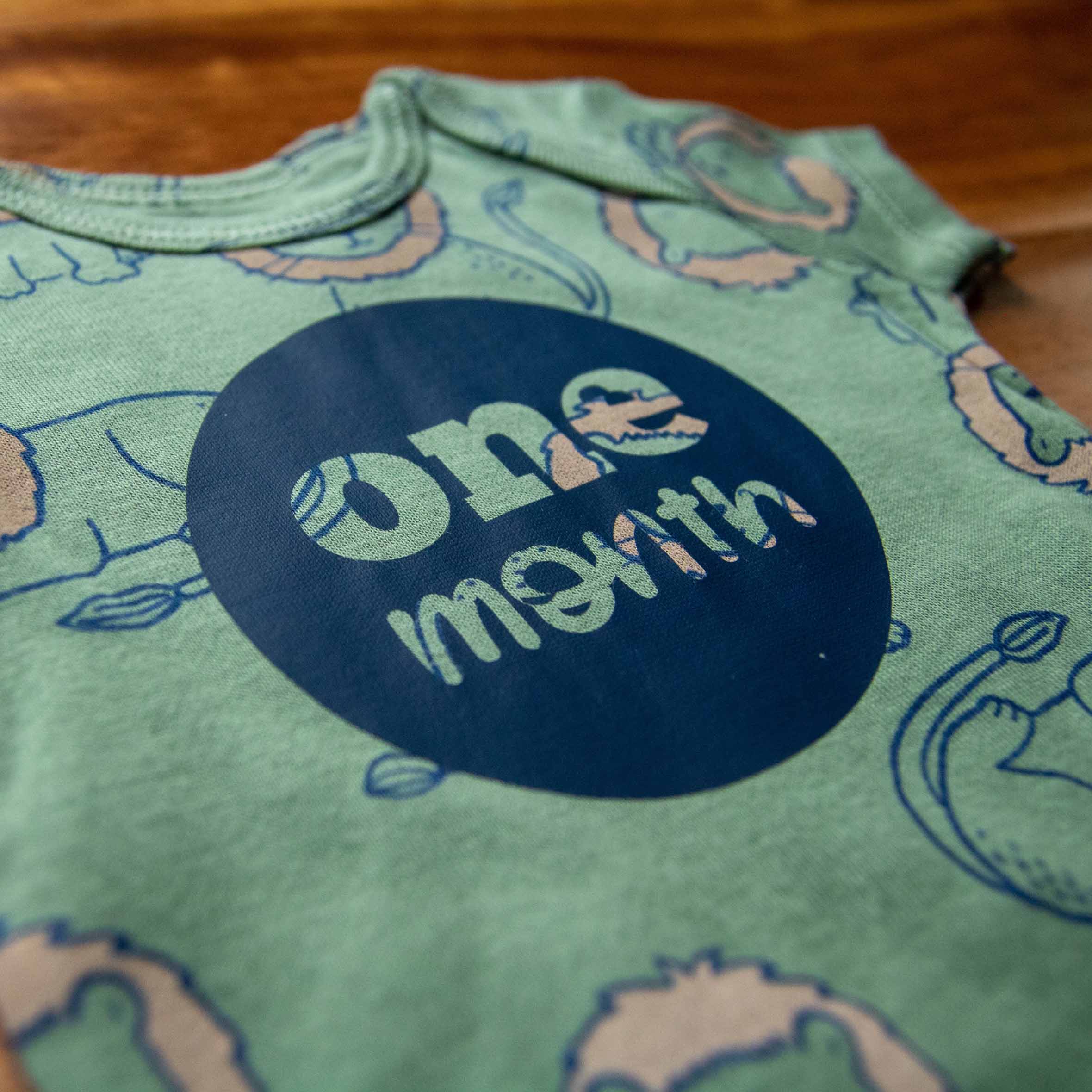 Baby Boy Monthly Photo Bodysuit Set – Jungle Animals and Stripes - Firefly Wishes