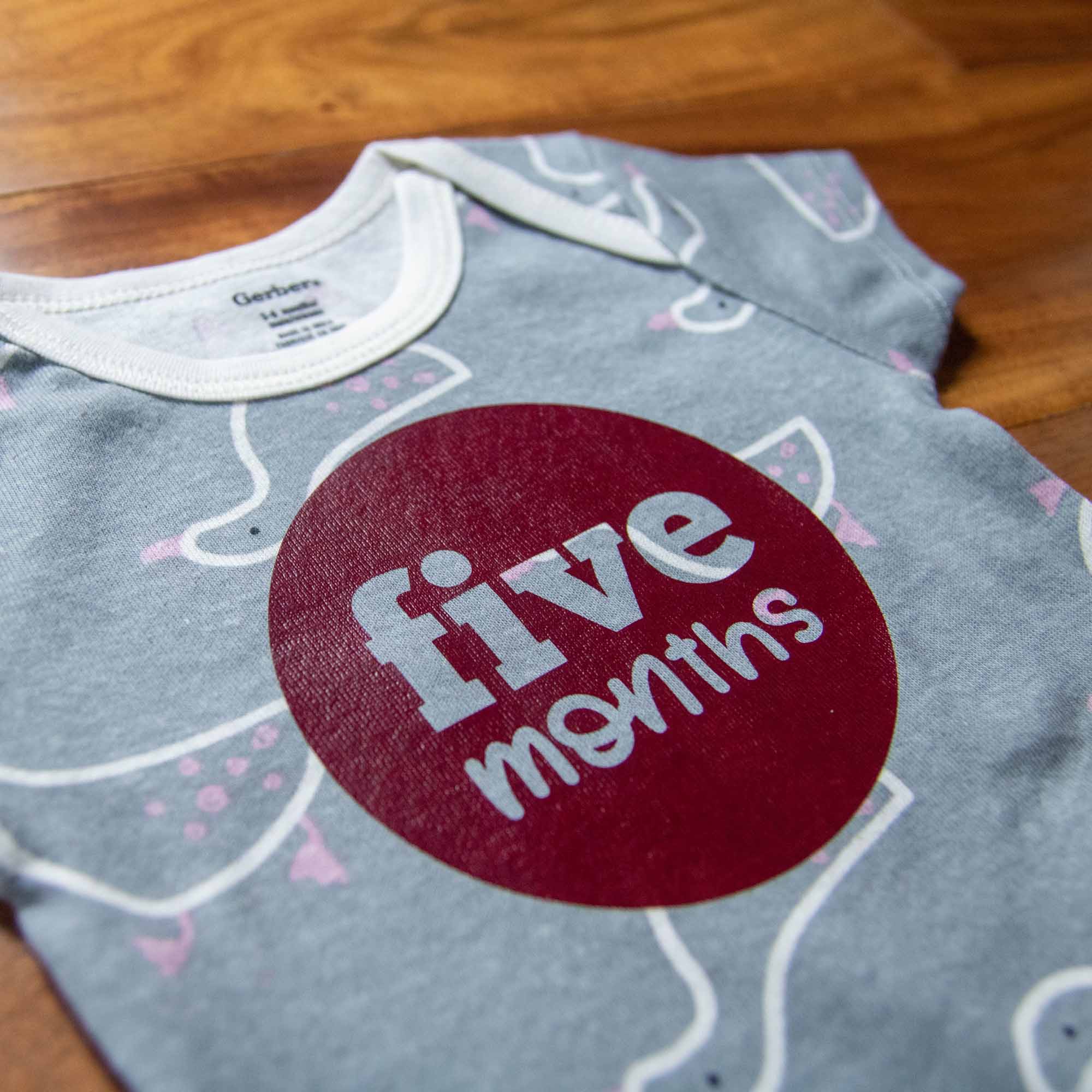 Baby Girl Monthly Photo Onesies® Set – Ducks & Dots