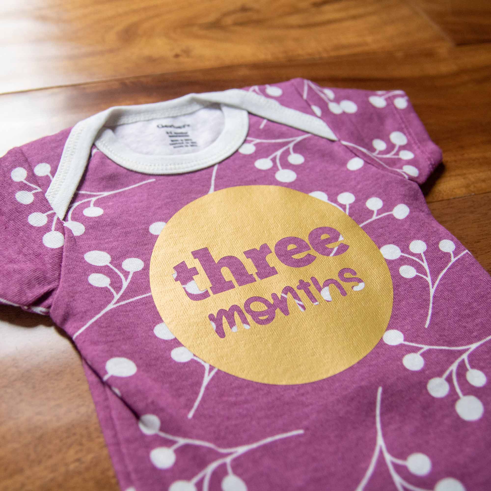 Baby Girl Monthly Photo Onesies® Set – Ducks & Dots - Firefly Wishes