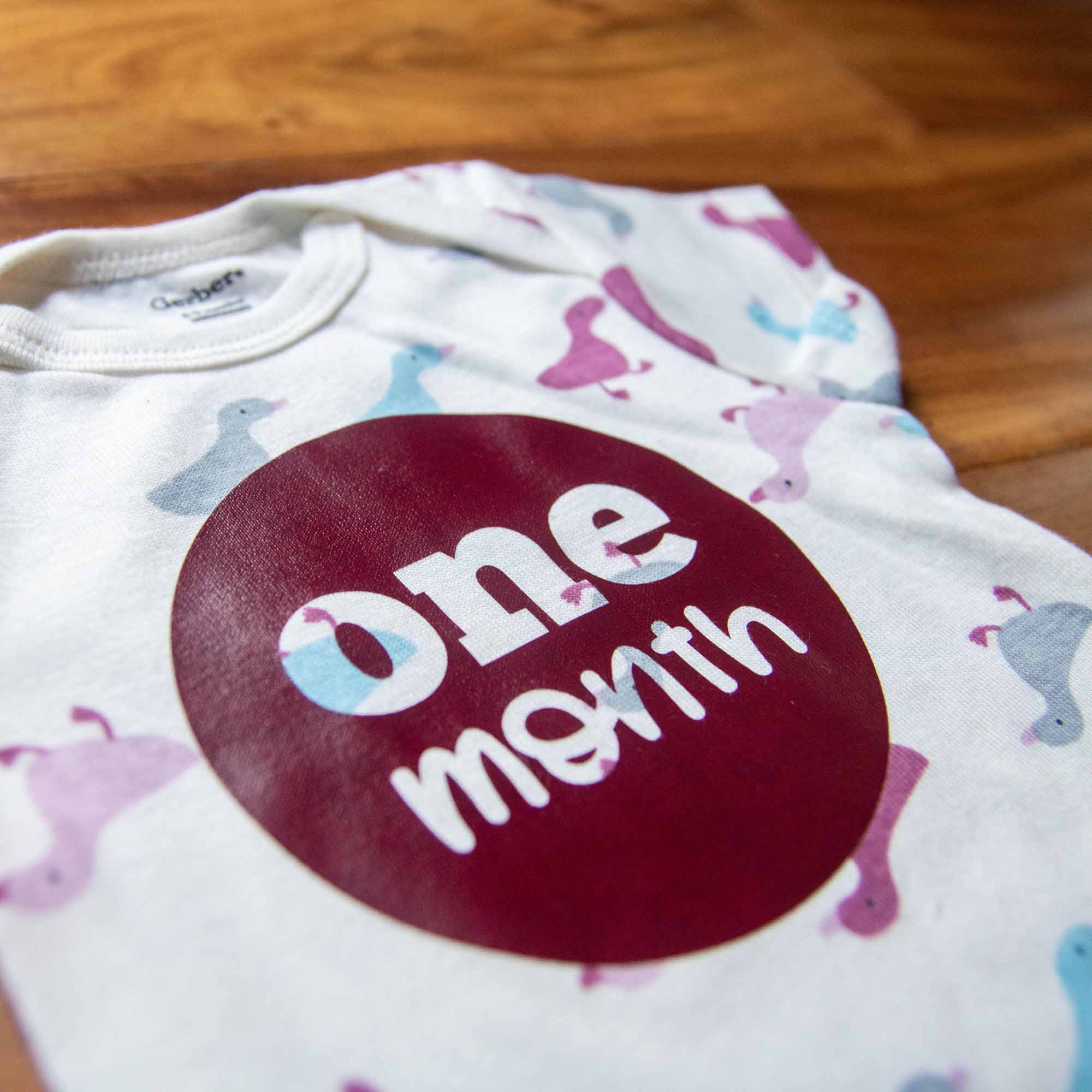 Baby Girl Monthly Photo Onesies® Set – Ducks & Dots - Firefly Wishes