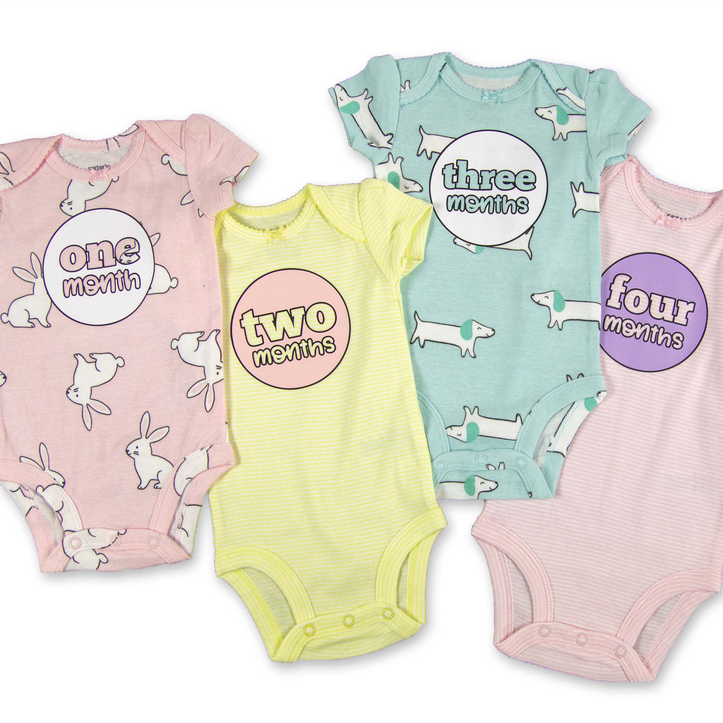 Baby Girl Monthly Photo Bodysuit Set – Bunnies, Dogs & Ice Cream - Firefly Wishes