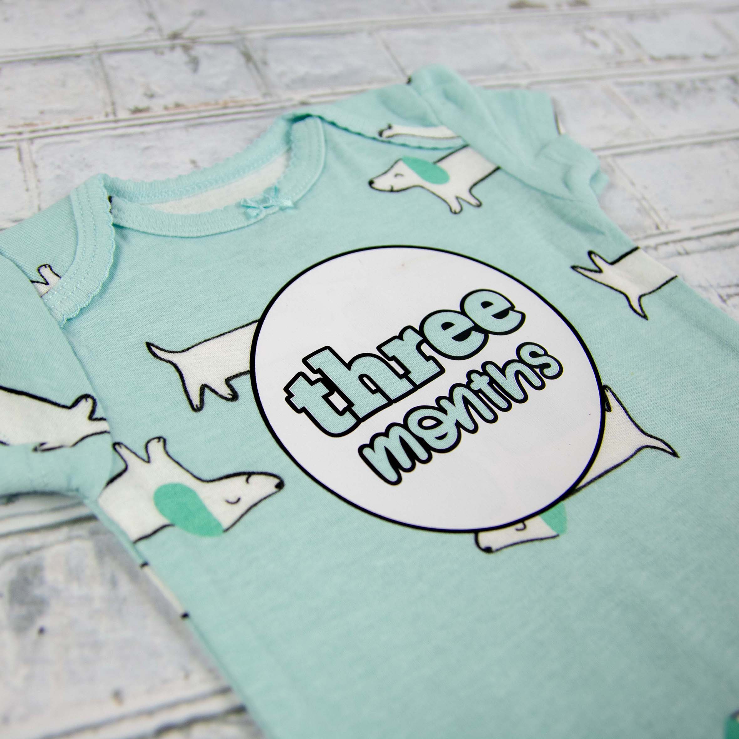 Baby Girl Monthly Photo Bodysuit Set – Bunnies, Dogs & Ice Cream - Firefly Wishes