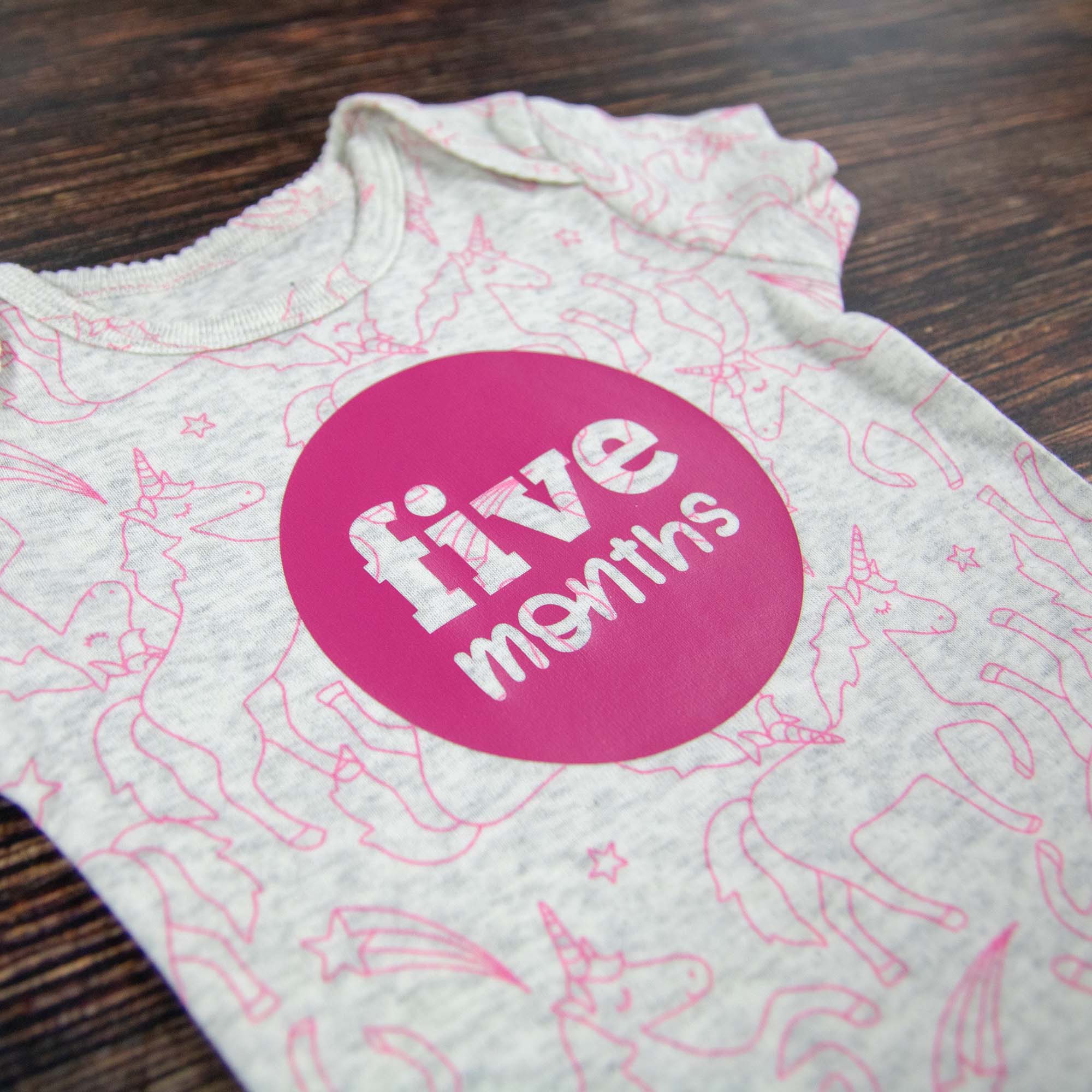 Baby Girl Monthly Photo Bodysuit Set – Unicorns, Dinosaurs & Jungle Animals - Firefly Wishes
