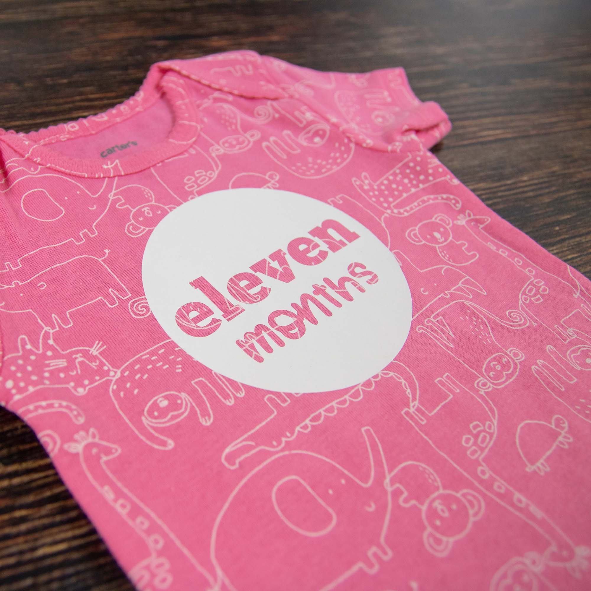 Baby Girl Monthly Photo Bodysuit Set – Unicorns, Dinosaurs & Jungle Animals - Firefly Wishes