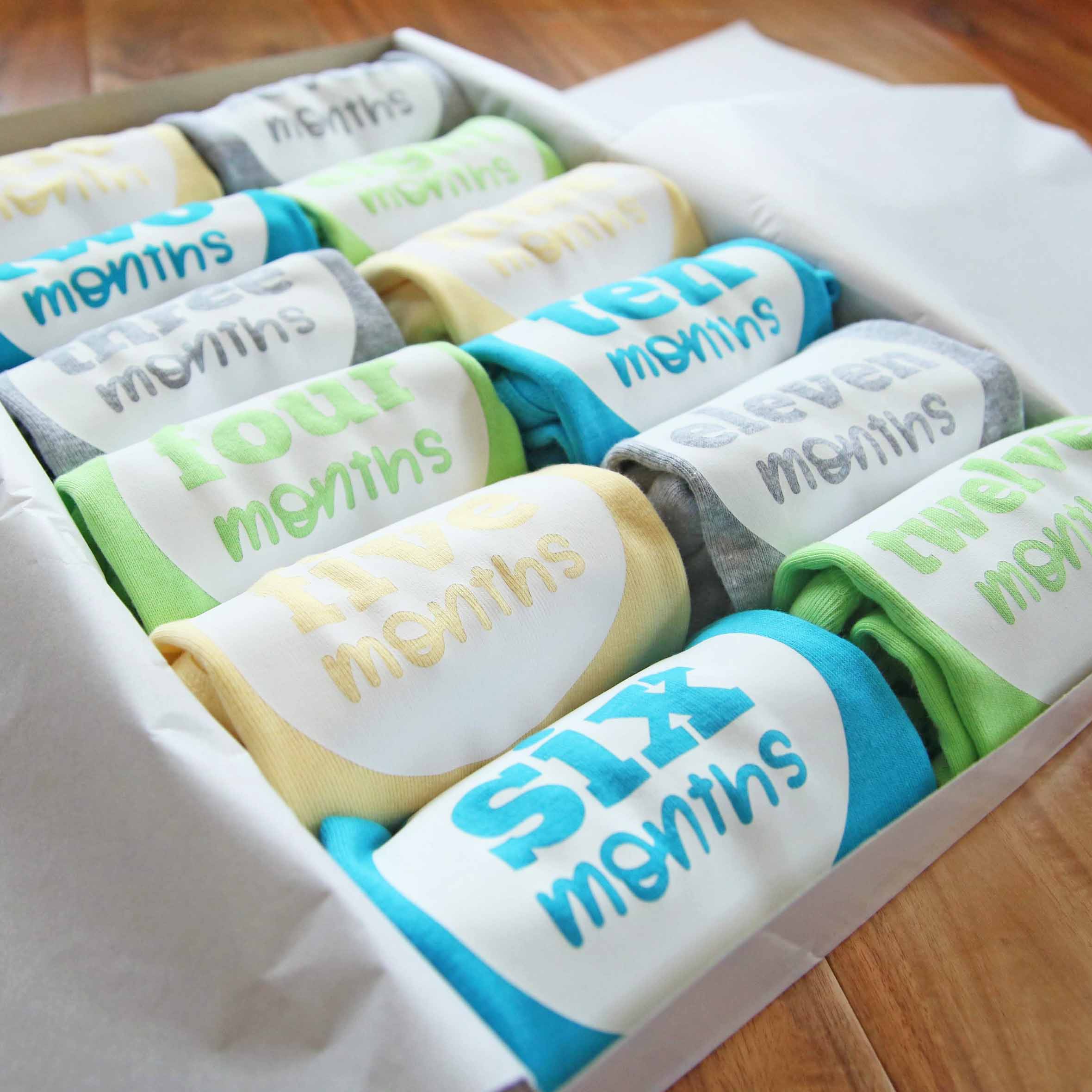 Baby Gender Neutral Monthly Photo Bodysuit Set - Firefly Wishes