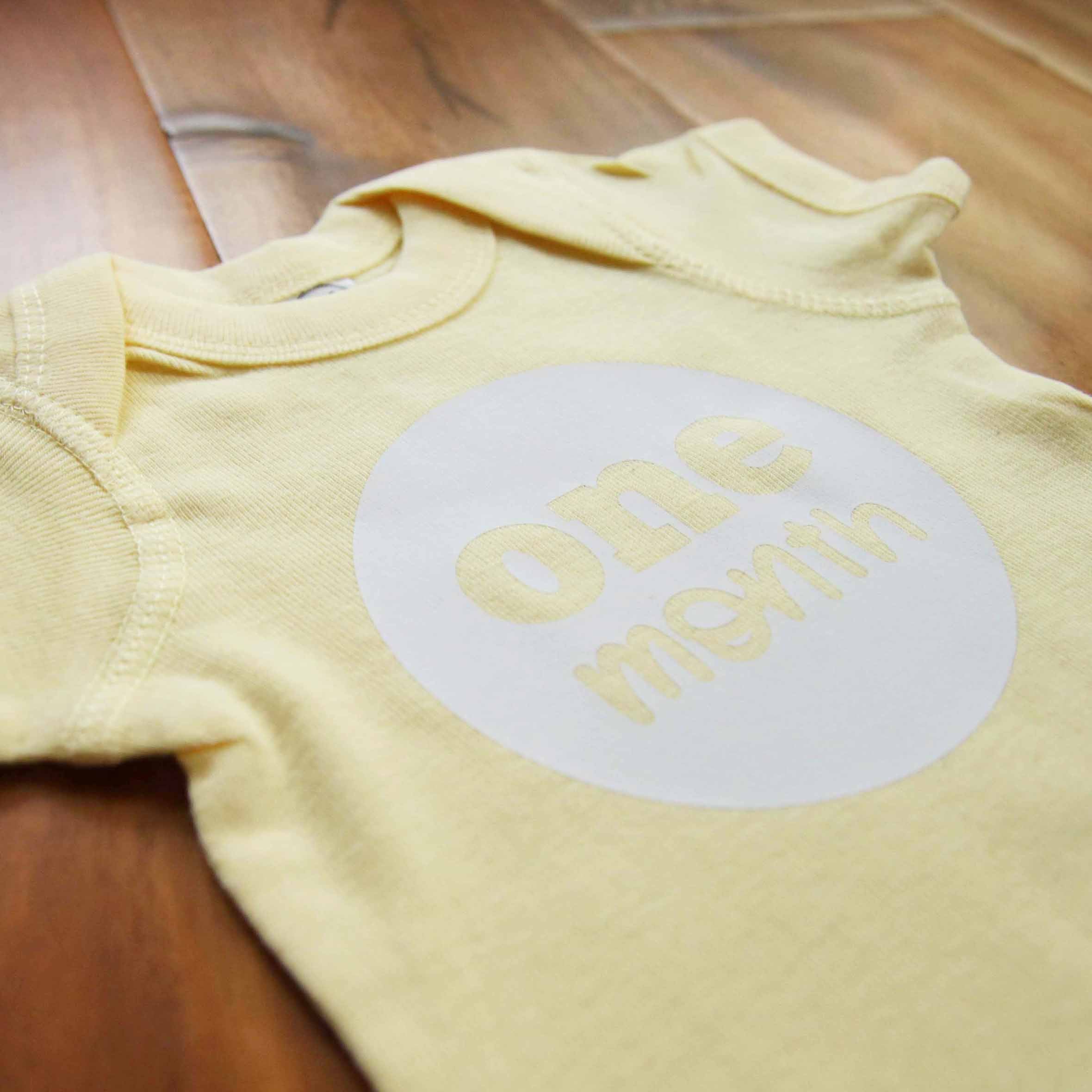 Baby Gender Neutral Monthly Photo Bodysuit Set