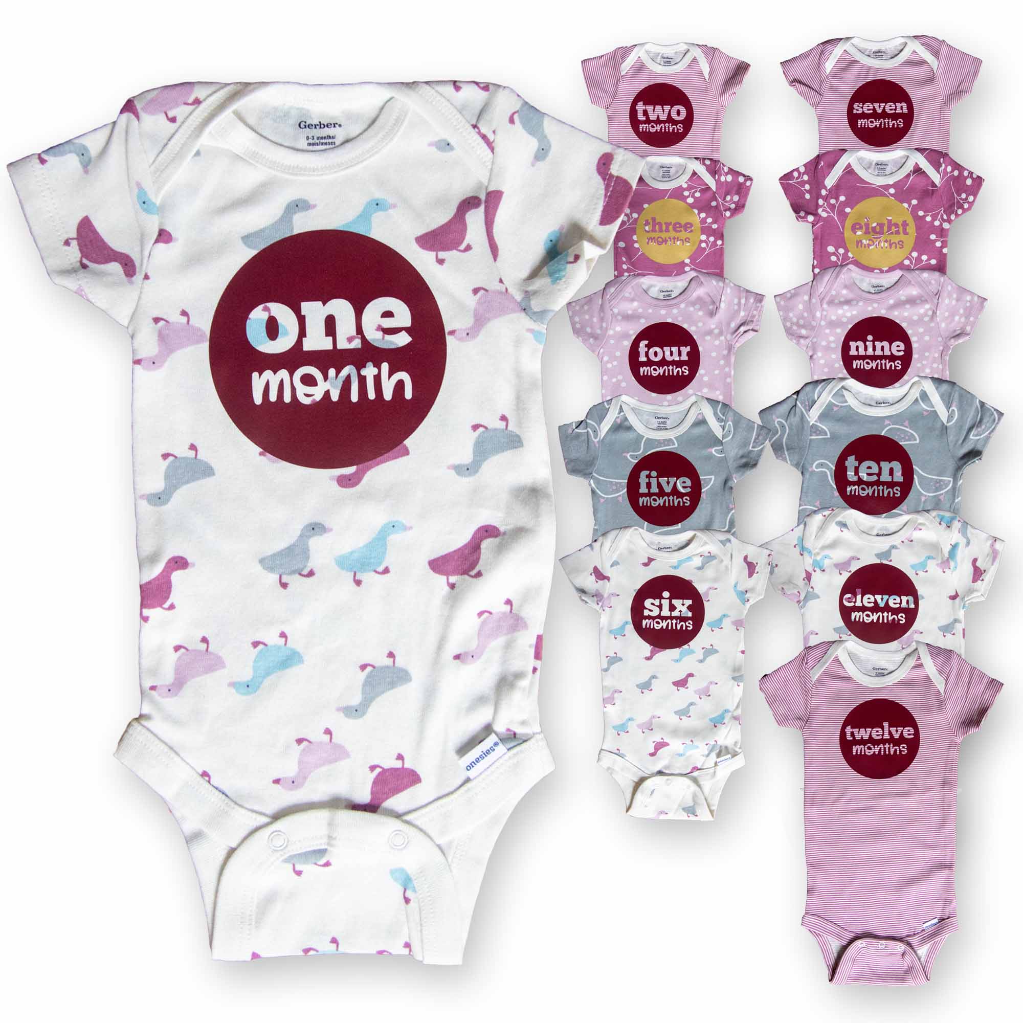 Baby Girl Monthly Photo Onesies® Set – Ducks & Dots