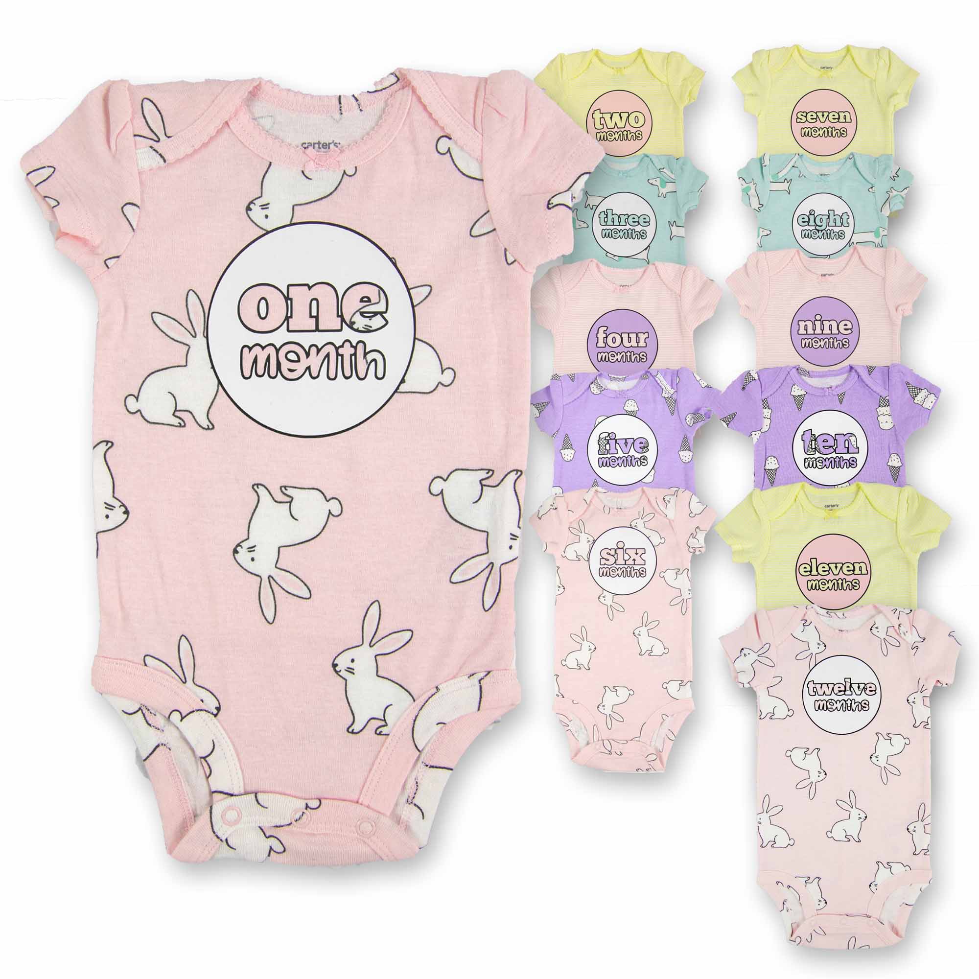Baby Girl Monthly Photo Bodysuit Set – Bunnies, Dogs & Ice Cream - Firefly Wishes