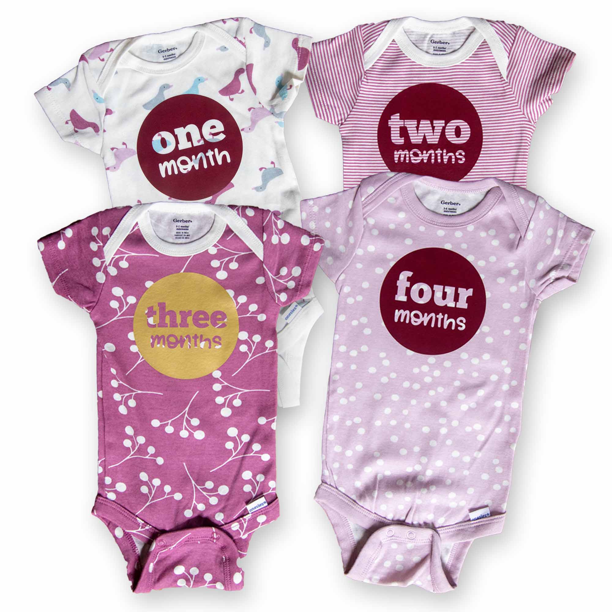 Baby Girl Monthly Photo Onesies® Set – Ducks & Dots