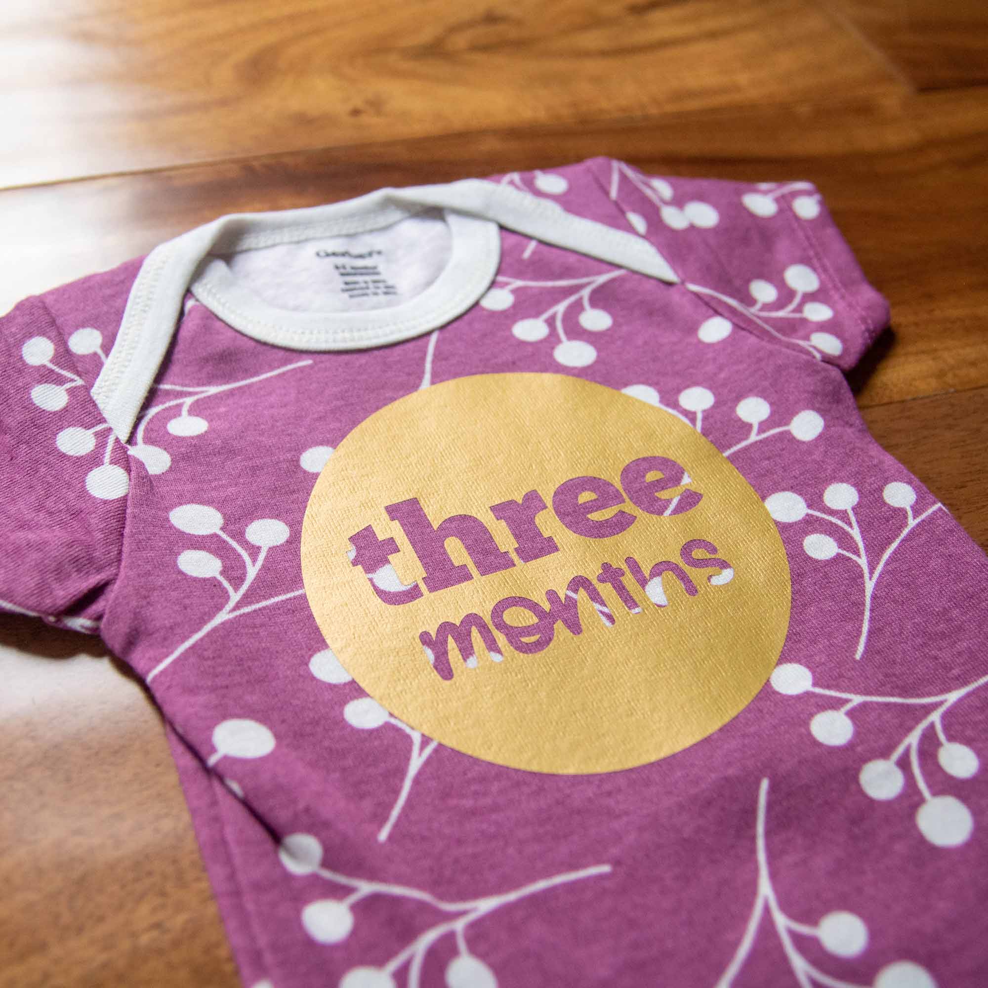 Baby Girl Monthly Photo Onesies® Set – Ducks & Dots