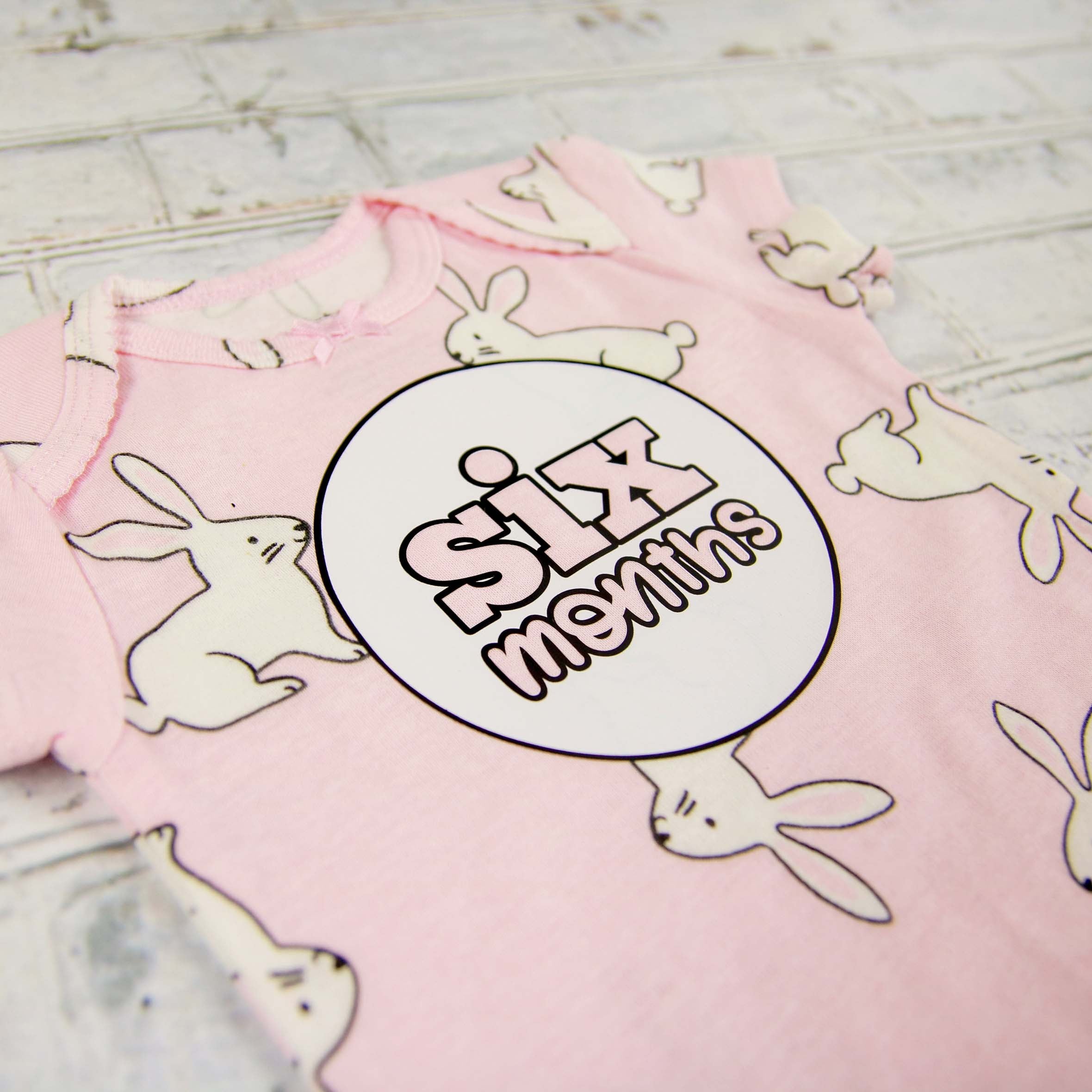 Baby Girl Monthly Photo Bodysuit Set – Bunnies, Dogs & Ice Cream